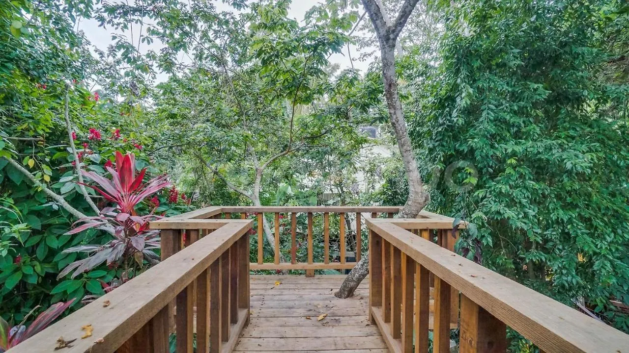 El Yaguacil Villa Jarabacoa Holiday home